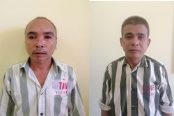 Khởi tố đối tượng lừa bán mật gấu và xương khỉ giả