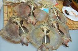 Kinh dị món cá đuối lên men vừa ăn vừa bịt mũi của Hàn Quốc