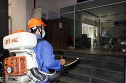 Đồng Nai: Một phụ nữ tử vong do bệnh sốt xuất huyết diễn tiến quá nhanh