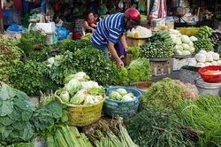 Rau xanh được dự báo khan hiếm sau mưa lũ