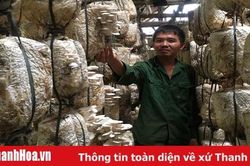 Chàng thanh niên với khát vọng làm giàu trên quê hương