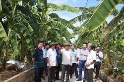 Đoàn công tác của tỉnh kiểm tra, khảo sát kết quả xây dựng nông thôn mới kiểu mẫu tại xã Yên Từ
