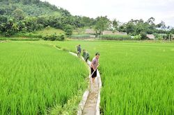 Sức lan tỏa của một Nghị quyết