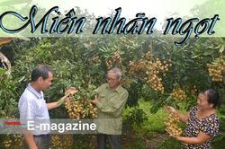 Miền nhãn ngọtThành Tuyên 74 mùa thu lịch sửSay mê với những 'người tình có tuổi'Khám phá cung đường đua xe đạp địa hình huyện Na Hang 2019Khát vọng của doanh nhân trẻLàng măng khô nhộn nhịp vào mùaTuyên Quang nhộn nhịp làm mô hình đèn Trung thu