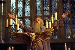 Du lịch theo tính cách phù thủy, thầy Dumbledore sẽ thích Đài Loan