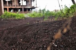 Nhà máy tuyển quặng sắt 150 tỷ 'đắp chiếu' suốt 7 năm