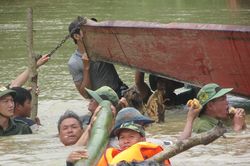 Vỡ đê, hàng trăm người dân trầm mình cứu lúa