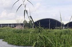 Cà Mau kết luận vụ phát hiện hơn 300 xác thai nhi tại nhà máy rác