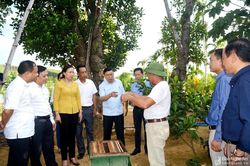Khảo sát vai trò Hội Nông dân tham gia xây dựng nông thôn mới ở Yên Thành