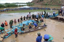 Lực lượng vũ trang cùng người dân hộ đê cứu lúa