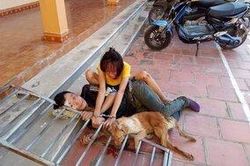 Đôi nam nữ vừa bị xử phạt vì ăn trộm chó, tiếp tục 'hành nghề' bị dân phát hiện và bắt giữ lúc sáng sớm