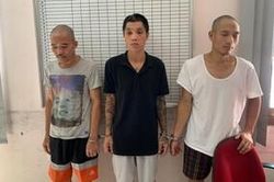 Bi hài nhóm đối tượng chụp cây cảnh đăng lên mạng rao bán, có khách 'chốt giá' mới đi trộm đem bán