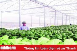 Chuỗi cung ứng thực phẩm an toàn - đường đi ngắn, lợi ích dài