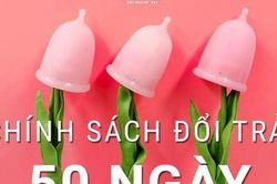 Ovacup – cuộc cách mạng của toàn phái nữ