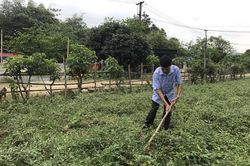 Giảm nghèo bền vững: Bứt phá từ nội lực - Bài 2: Sức bật mới từ những quyết sách