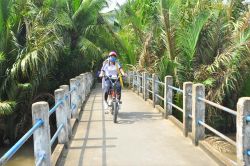 Những cây cầu mang dấu ấn tuổi trẻ Bách khoa