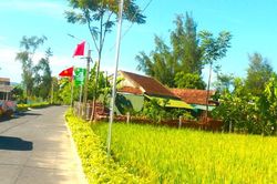Ngỡ ngàng nông thôn mới