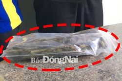 Tội phạm và tệ nạn ma túy diễn biến phức tạp
