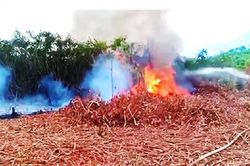 Khuôn viên trường bắn quân sự ở Huế bốc cháy dữ dội