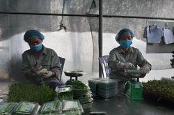 Mô hình nhỏ, hiệu quả lớn