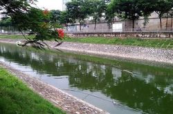 Sông Tô rồi sẽ ra sao…