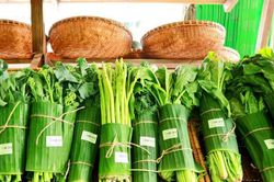 Ý thức tự giác và trách nhiệm bảo vệ môi trường