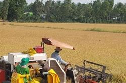 Phụng Hiệp gấp rút hoàn thành kế hoạch xây dựng Nông thôn mới 2019