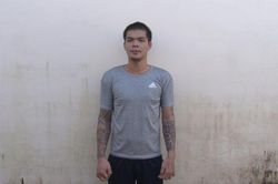 Đề nghị truy tố kẻ chuyên đi nhổ trộm cây cảnh