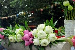 Điều con cái nên làm trong ngày vu lan