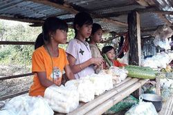 Chợ 10 ngàn đồng và giấc mơ con chữ dưới chân đèo Măng Rơi