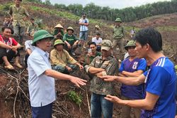 Làm rõ sự việc, xử lý nghiêm hành vi vi phạm ở Quỳ Hợp