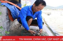 Không phát hiện dư lượng độc hại trong mẫu sản phẩm thủy sản ở Hà Tĩnh