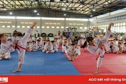 Taekwondo với những bước phát triển vững chắc