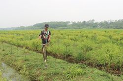 Sức sống Chỉ thị 40 của Đảng về tín dụng chính sách