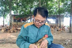 Chủ tịch Hội Nông dân xã Vĩnh Chấp với thương hiệu gà đồi