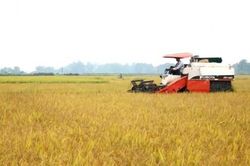 Kinh tế Nông nghiệp - Nông thôn Xây dựng nông thôn mới gắn với tái cơ cấu nông nghiệp
