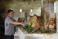 Thành công từ mô hình kinh tế tổng hợp