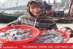 Ngư dân Cẩm Lộc 'kiếm' hàng trăm triệu đồng từ nghề bóng ghẹ