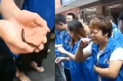 Công ty Trung Quốc phạt nhân viên ăn cá sống vì không đạt chỉ tiêu