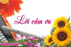 Cảm xúc từ 'lời cảm ơn'