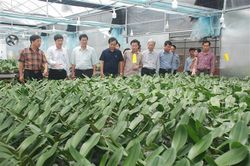 Ban Kinh tế - Ngân sách HĐND tỉnh Quảng Trị làm việc với Sở Khoa học và Công nghệ