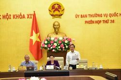 'Các nhà cao tầng phải có tầng chống cháy'