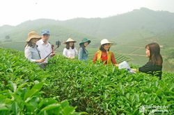 Xây dựng nông thôn vùng đồng bằng Sông Hồng và Bắc Trung Bộ có những điển hình cần nhân rộng