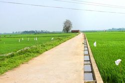 Vĩnh Tường (Vĩnh Phúc): Xã Phú Đa duy trì và nâng cao chất lượng các tiêu chí nông thôn mới