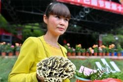 Kỳ lạ loài nấm vi khuẩn đáng sợ, có giá cực cao