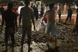 Xe tải lật giữa đường, dân thi nhau thu gom gần 3 tấn cá giúp tài xế