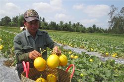 Nông thôn mới gắn với lợi ích của dân