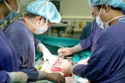 Kỷ lục ghép tạng cho 15 người trong một tuần