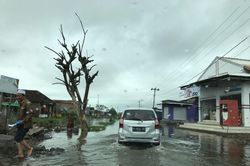 Ngôi làng đang bị nhấn chìm xuống biển ở Indonesia