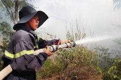 Các địa phương tập trung phòng, chống cháy rừng